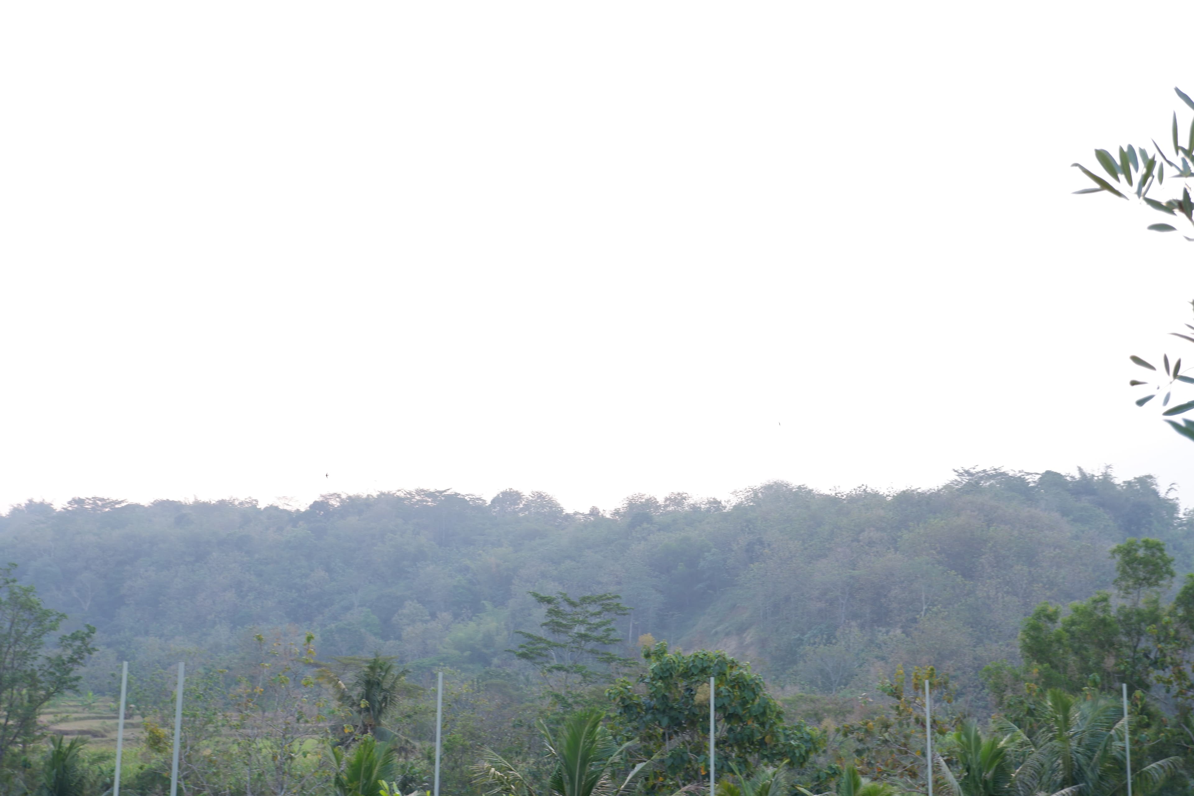 Jalur wisata Alas Watu Kebonan